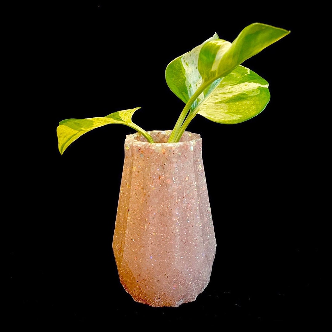 Bold Colored Propagation Glasses Handmade Vases With Etsy