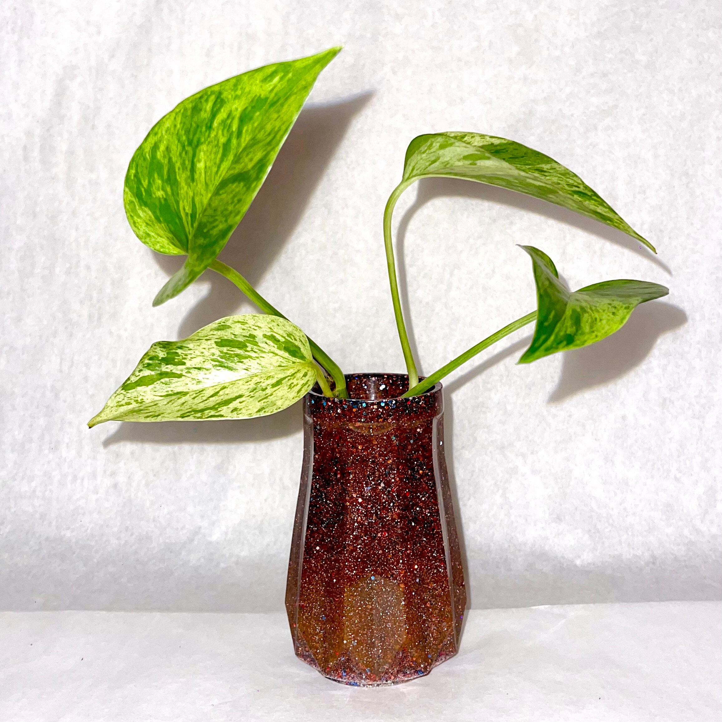 Bold Colored Propagation Glasses Handmade Vases With Etsy