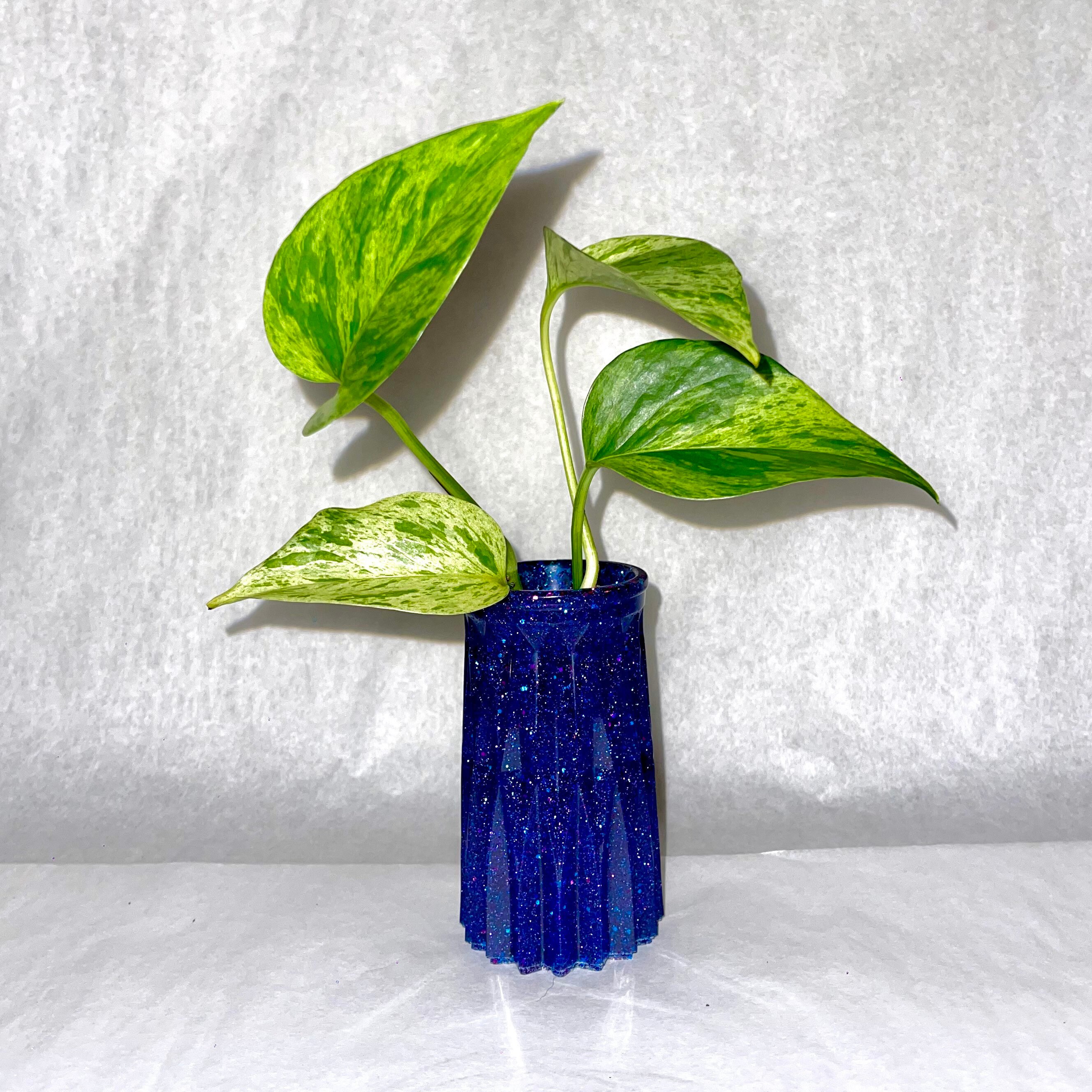 Bold Colored Propagation Glasses Handmade Vases With Etsy