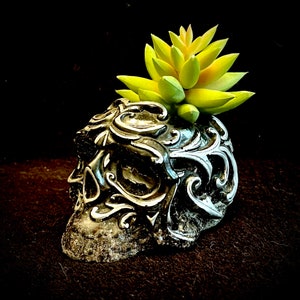 May include: A black and silver skull planter with intricate details, featuring a succulent plant with green and yellow leaves.
