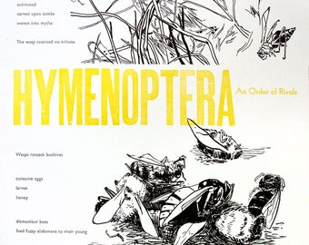 Hymenoptera: An Order of Rivals, Bee, Bees, Wasp, Wasps, Hornets, Poem, Poetry, Broadside