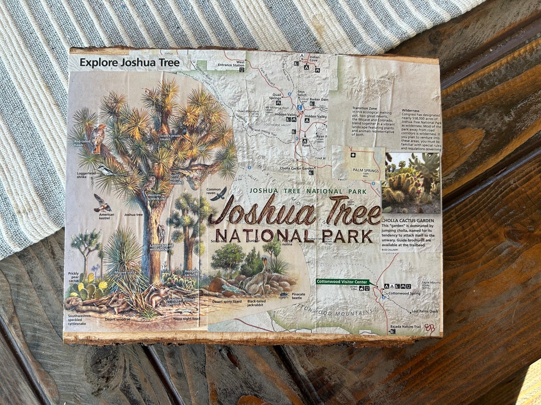 Joshua Tree National Park Map Art: Rustic Wood Wall Decor - Etsy