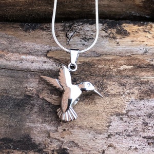 Bijoux de crémation personnalisés colibri pour cendres, souvenir de cendres pour homme femme, collier d'urne pour cendres, collier de crémation frère