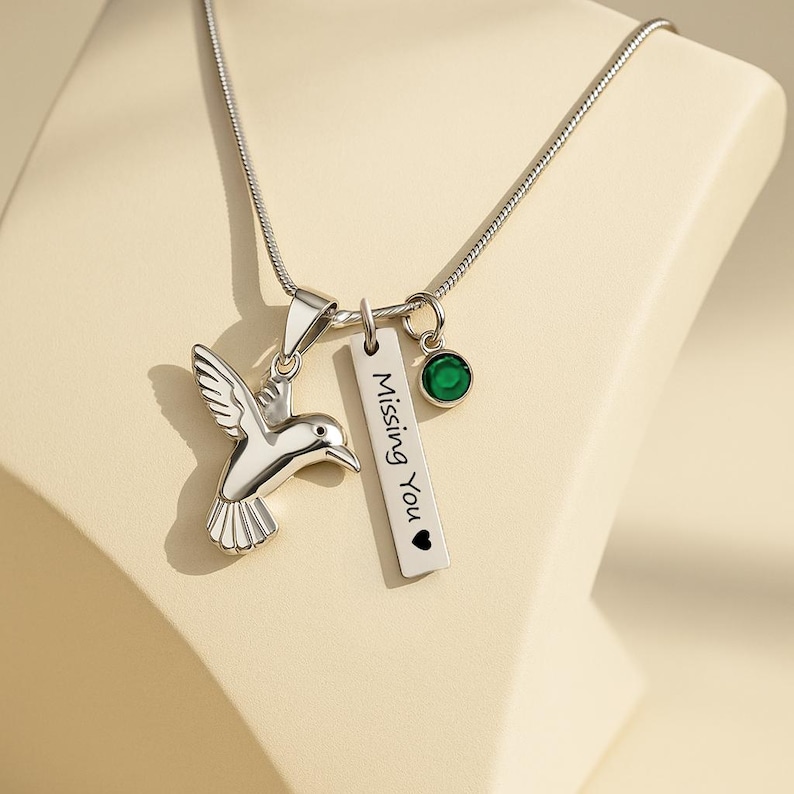 Urn ketting kolibrie crematie sieraden voor vrouwen rouw sieraden as ketting voor hond urn kat urn huisdier urn aangepaste urnen voor menselijke as afbeelding 2