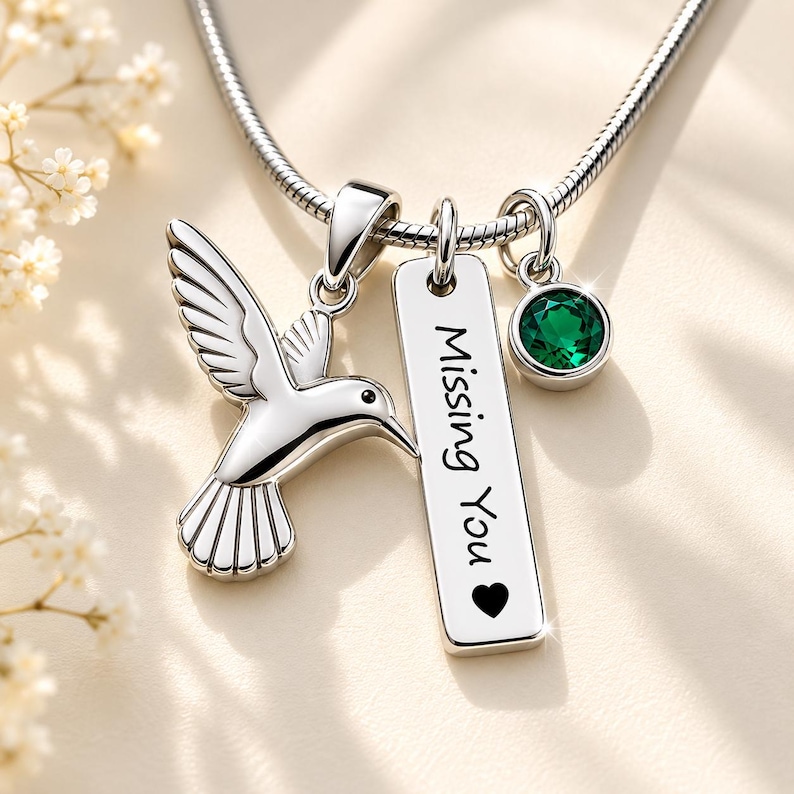 Urn ketting kolibrie crematie sieraden voor vrouwen rouw sieraden as ketting voor hond urn kat urn huisdier urn aangepaste urnen voor menselijke as afbeelding 1