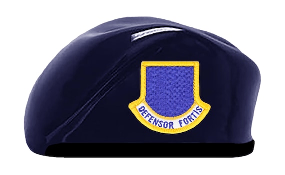 Air force top blue beret