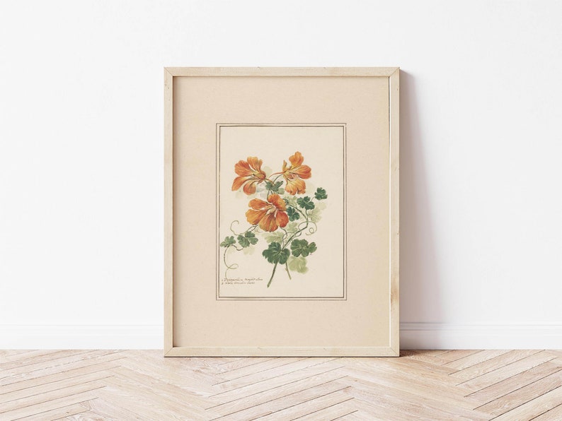 Vintage Gallery Wall Set Printable Wall Art Set of 9 Antique - Etsy