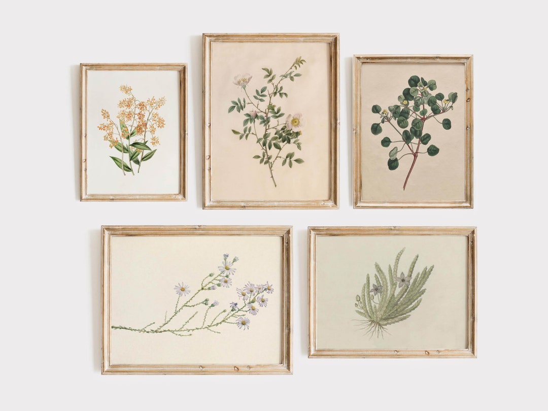 Vintage Botanical Print Set, Antique Gallery Wall Art (digital Download ...