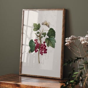 Red Berries Print, Botanical Wall Art, Kitchen Decor, Printable Wall Art, Vintage Fruit Illustration, Instant Download, Cottage Decor