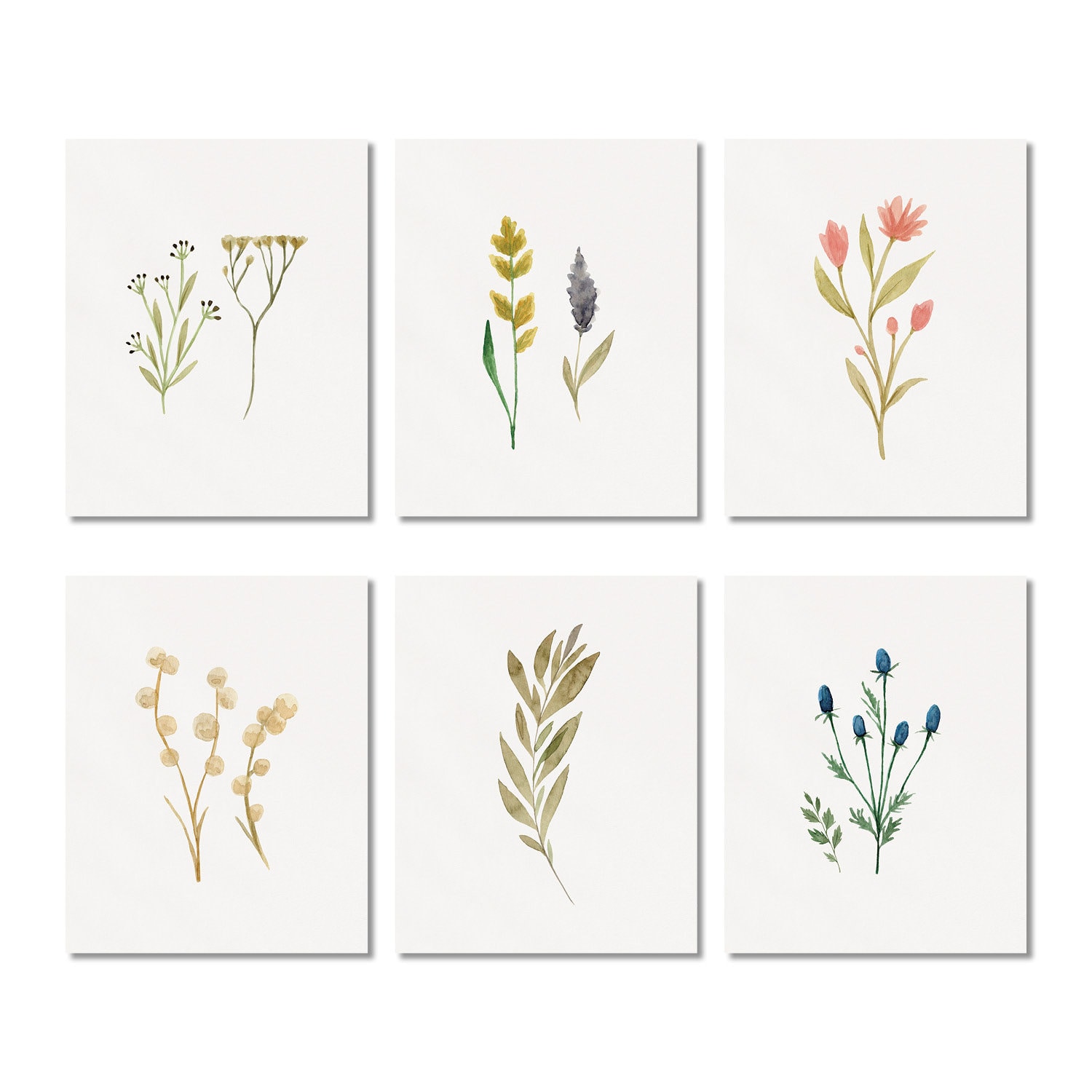 Printed Wall Art Set of 6 Watercolor Botanical Floral Print - Etsy