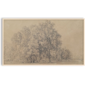 Samsung Frame TV Art Vintage Sketch, Trees Drawing, Landscape, Instant Download