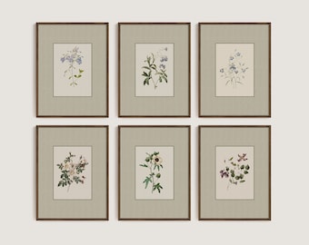 Vintage Gallery Wall Art Set | Botanical Floral Prints | Cottage Decor | Digital Download