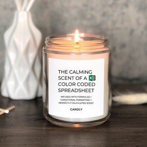 Funny Excel Spreadsheet Candle Gift For Accountant Banker Data Analyst Accounting Secretary Office Admin Assistant CPA Coworker Bday ACjar