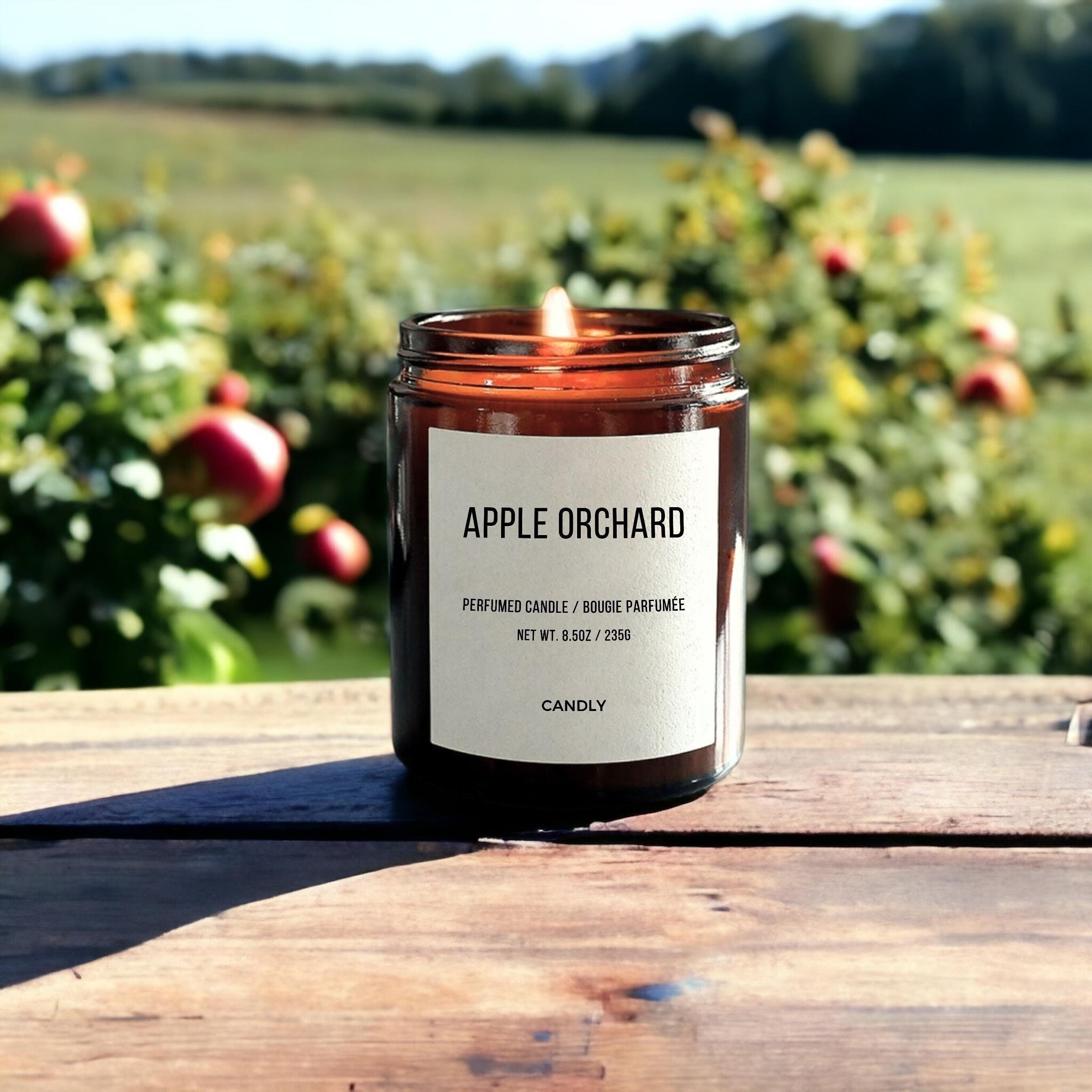  DW Home Apple Honey Butter 11.5 OZ Candle with Wooden