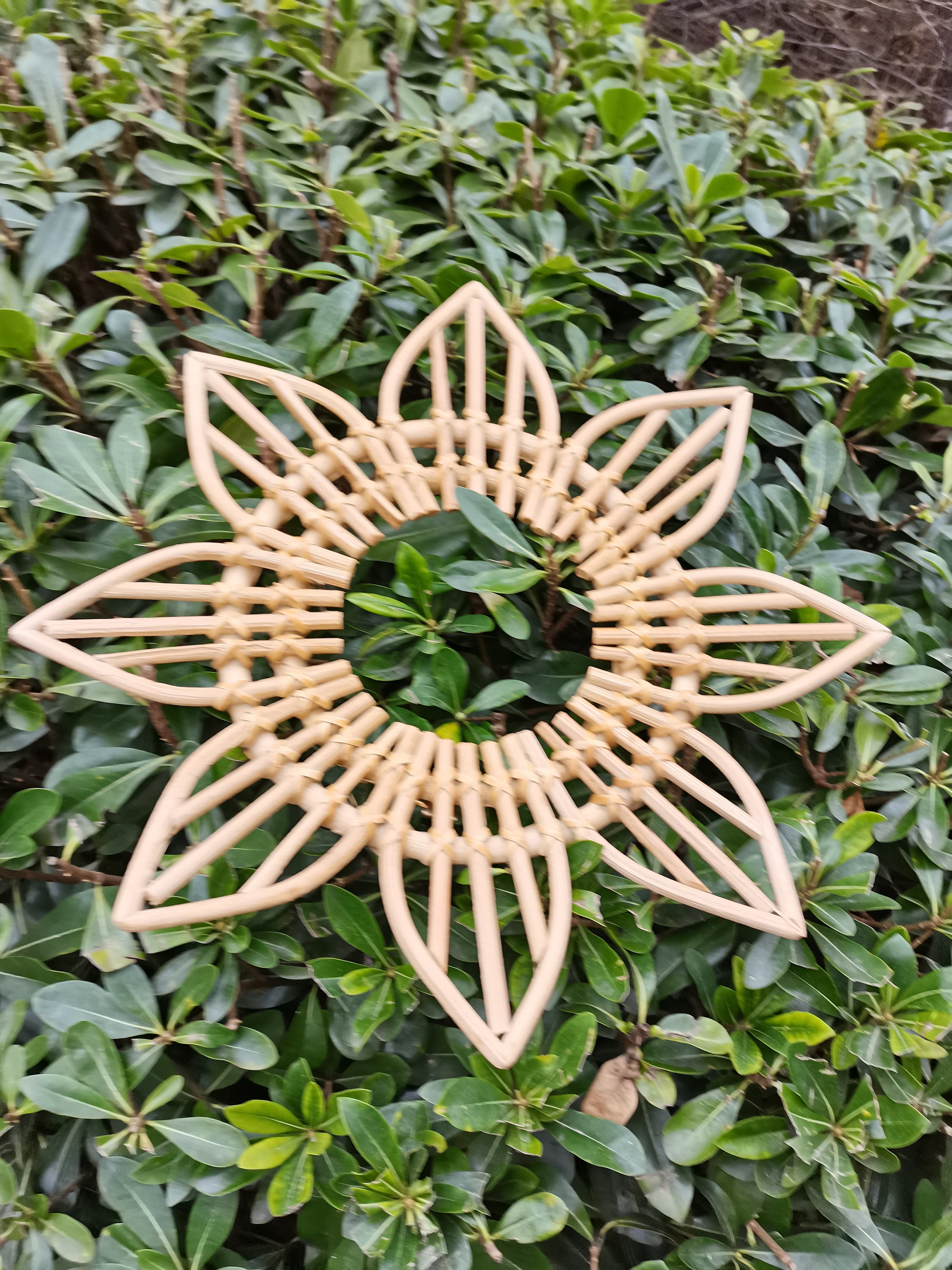 35cm Rattan Spiegel Blütenblatt Wandbehang gerahmt Wandspiegel | Etsy