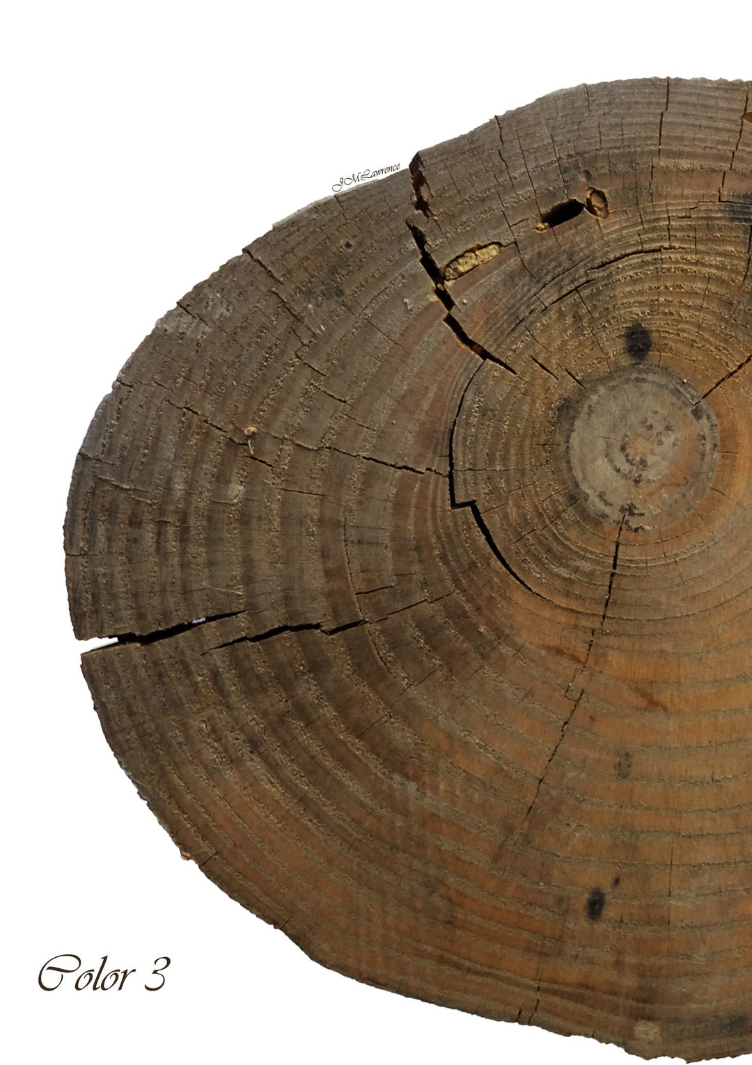 Tree Ring Colorfull Colored Tree Rings - Etsy