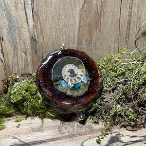 Puede incluir: Un colgante redondo de resina marrón con una ventana transparente que revela un amonite fosilizado y varios cristales azules y verdes.