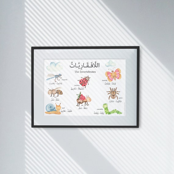 The Invertebrate Singular And Plural In Arabic English For Etsy