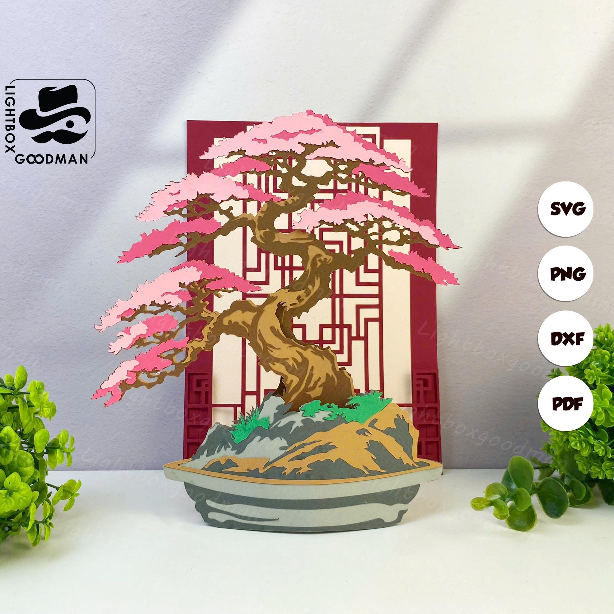 Bonsai Box - Etsy