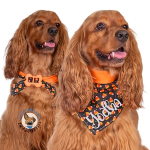 Halloween Dog Bandana with Bone Clasp - Reversible Candy Corn Print - Custom Embroidered Name - Orange & Black - Spooky Dog Scarf - Handmade