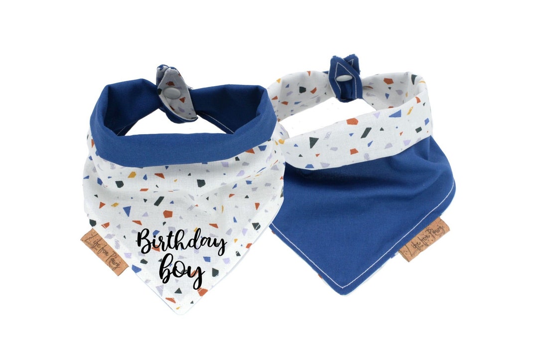 Dog Bandana, Birthday Boy, Reversible Blue Bandana, Tie on and Snap