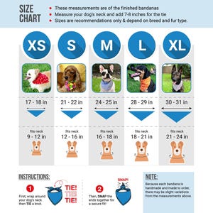 a poster showing the size and measurements of a dog