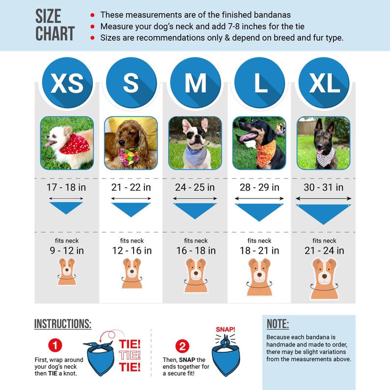 a poster showing the size and measurements of a dog