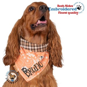 Reversible Embroidered Dog Bandana - Custom Name - Skeleton & Plaid - Personalized Halloween Pet Scarf - Soft Cotton - Handmade Gift