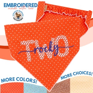 Bandana personalizada para cachorro com nome bordado - Bandana para cachorro de aniversário - Presente de aniversário para cachorro - Fantasia para 2º aniversário de cachorro