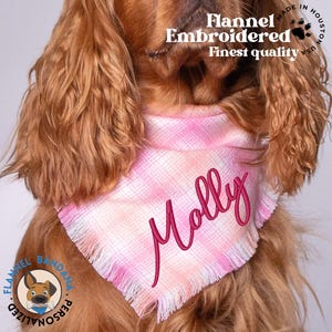 a brown dog wearing a pink bib with a name on it