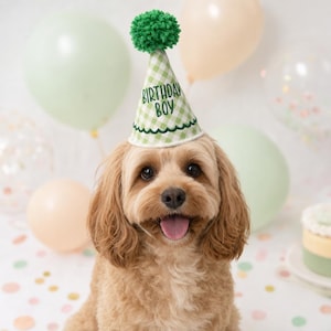以下が含まれることがあります： 「BIRTHDAY BOY」の文字がプリントされた、緑と白のチェック柄の誕生日帽子をかぶった幸せそうな犬。帽子の上には緑色のポンポンが付いています。背景にはパステルカラーの風船があります。
