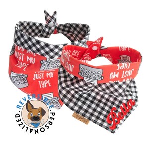 You are Just My Type Valentine day dog bandana  -  Reversible- Tie & Snap- Dog Neckerchief - Dog Scarf - Dog Mom - Puppy Gift - Dog Scarf -