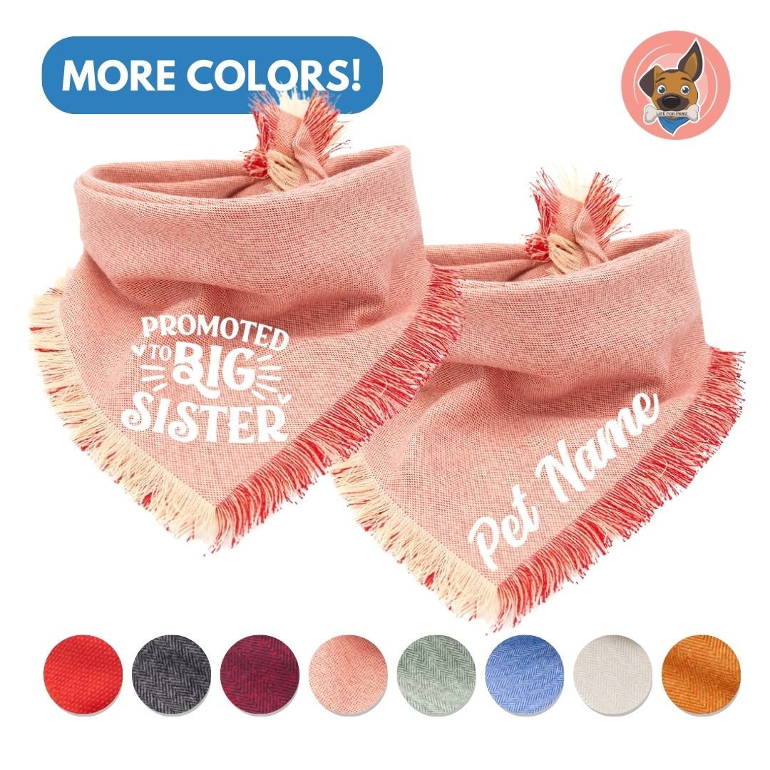 Dog Bandana Pregnancy Announcement Promote to Big Sister Dog Bandana