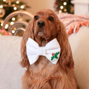 May include: A brown Cocker Spaniel wearing a white bow tie with a holly and berry design. The dog is sitting on a cream-colored couch with a Christmas tree in the background.