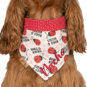 Ladybug Dog Bandana: Reversible Valentine's Day Pet Scarf