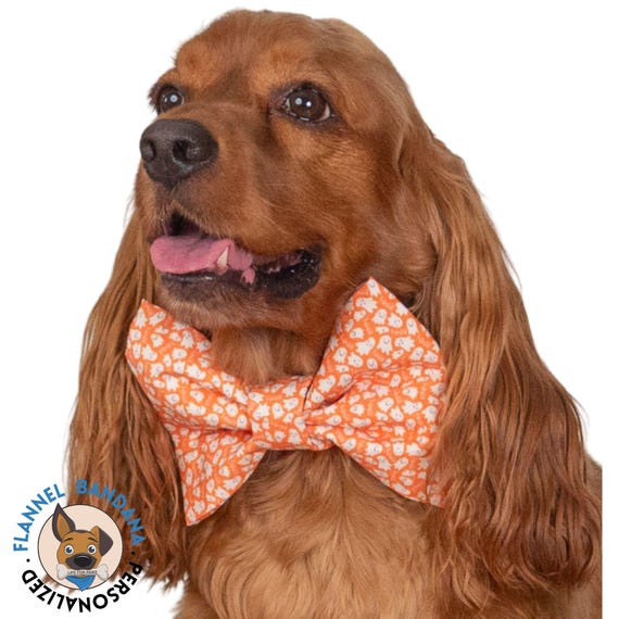 halloween dog bowtie
