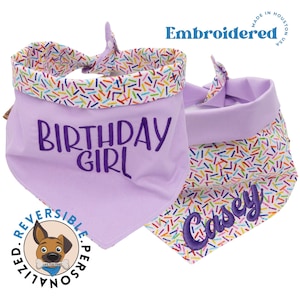 Custom Embroidered Reversible Dog Bandana, Birthday Girl Print and Personalized Name, Girl Dog Bandana, Birthday Dog Costume, Gift for Dog.