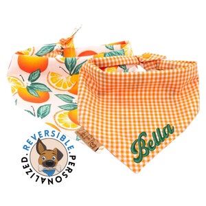 Orange Dog Bandana - Reversible-  Personalized Dog Bandana - Tie & Snap - Dog Neckerchief - Dog Scarf - Dog Mom - Puppy Gift