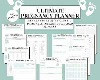 Pregnancy Planner Printable, Printable Pregnancy Journal, Expecting Mom Kit, From Bump to Baby, Hospital Bag Checklist, My Birth Plan, PDF