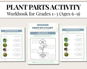 Plant Parts Activity Workbook | Plant Science Printable | Grades 1–3 | Homeschool Science | Elementary Science | PDF Download
