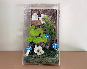 Jumping Spider Enclosure bonsai muschio, Kit casa ragno fungo 4x4x7, terrario serbatoio ragno, accessori habitat ragno, arredamento aracnide