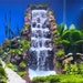 see more listings in the aquarium waterfall section