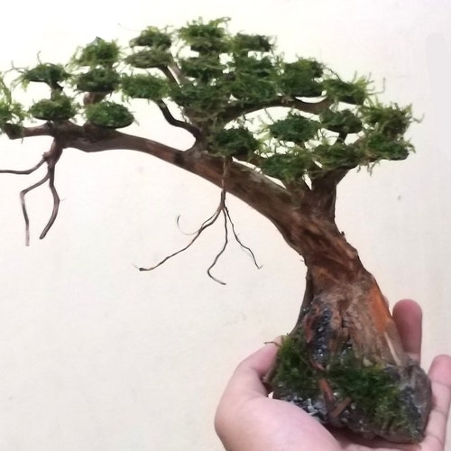 Aquarium Driftwood Moss Aquascape Bonsai Mini Drift Wood Etsy