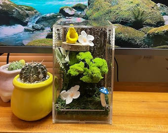 Jumping Spinne Gehege Kit Bonsai Moos 4x4x7 Spinnenhaus, Spinnenbecken Terrarium, Spinnen Lebensraum Zubehör, Spinnentier Lebensraum Dekor