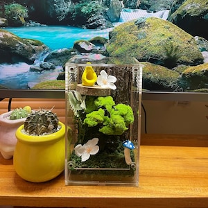 Jumping Spider Enclosure kit  bonsai moss 4x4x7 spider house, spider tank terrarium , spider habitat accessories, arachnid habitat  decor