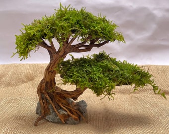 Treibholz Bonsai Baum Aquarium, Java Moos Treibholz Bonsai, Terrarium Aquarium Aquascape Dekorationen, Reptil Lebensraum Dekor