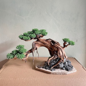 Può includere: Un albero bonsai in miniatura con un tronco marrone nodoso e fogliame verde. L'albero è esposto su una piccola base di legno con rocce e ghiaia.