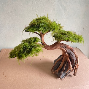 Bonsai drivvedsmossa akvarium, aquascape mini, drivvedsbonsai javamossa, terrarium akvariedekorationer, reptilhabitatdekor miniatyr
