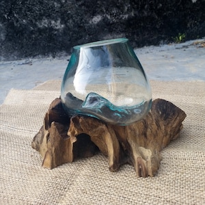 Glazen houten terrarium, glazen vaas op wortelhout, grote terrarium glazen vaaskom op wortelhout handgeblazen gerecycled glas, sappige plantenbak