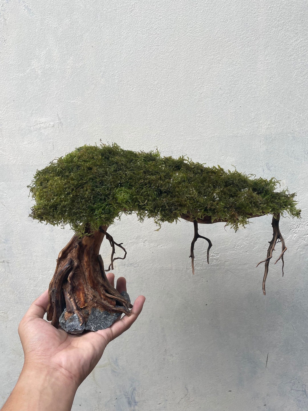 Aquarium Driftwood Moss, Aquascape Bonsai Mini, Drift Wood Bonsai